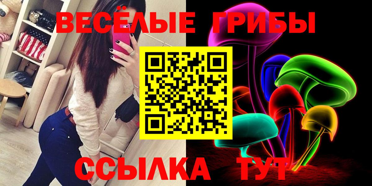 Псилоцибиновые грибы GOLDEN TEACHER  Галлюциногенные грибы Psilocybe  Вход с VPN  Красный Сулин 